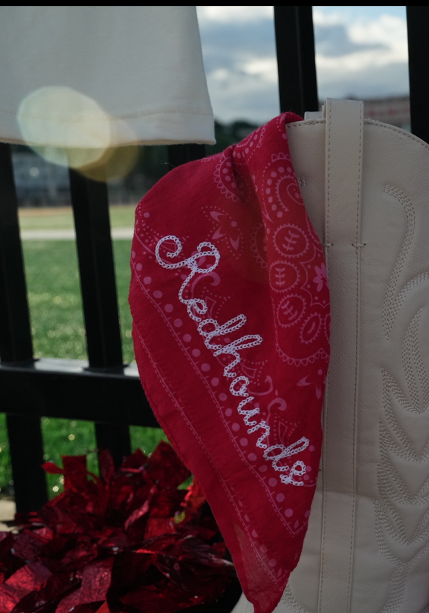 Stadium Bandanna